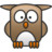 owl Icon